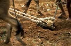 plough