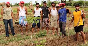 rural labour